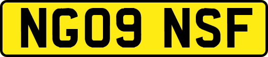 NG09NSF