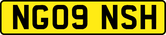 NG09NSH