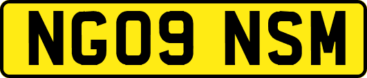NG09NSM