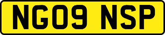 NG09NSP