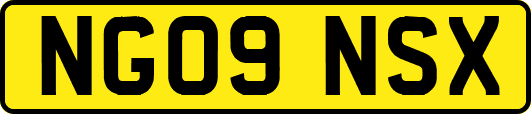 NG09NSX