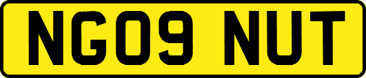 NG09NUT