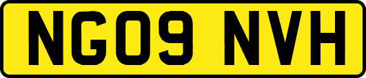 NG09NVH