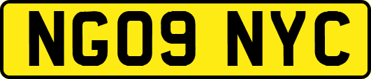NG09NYC
