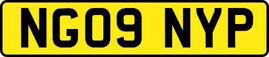 NG09NYP