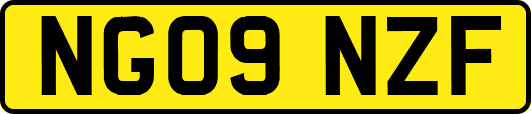 NG09NZF