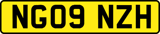 NG09NZH