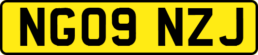 NG09NZJ