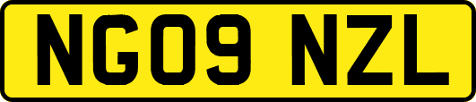 NG09NZL