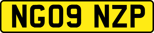 NG09NZP