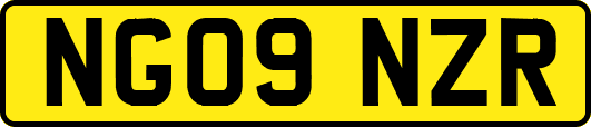 NG09NZR