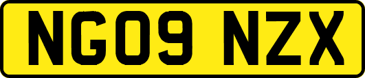NG09NZX