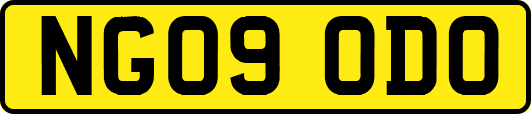 NG09ODO