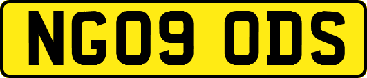 NG09ODS