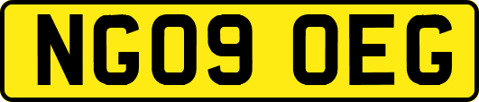 NG09OEG