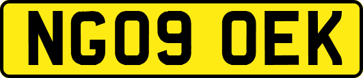 NG09OEK