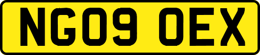 NG09OEX