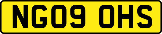 NG09OHS