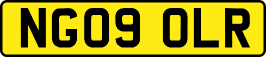 NG09OLR