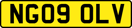 NG09OLV