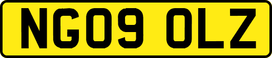 NG09OLZ