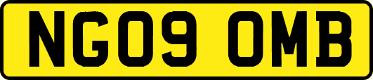 NG09OMB