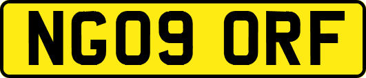 NG09ORF