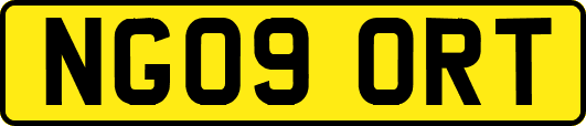 NG09ORT