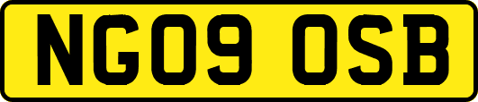 NG09OSB