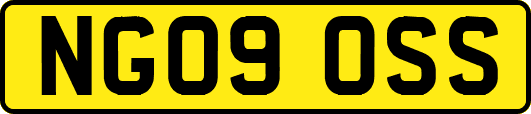 NG09OSS