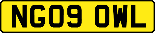 NG09OWL