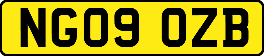 NG09OZB