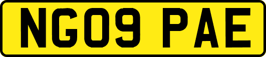 NG09PAE