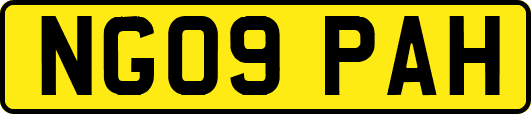 NG09PAH
