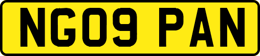 NG09PAN
