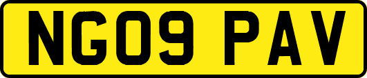 NG09PAV