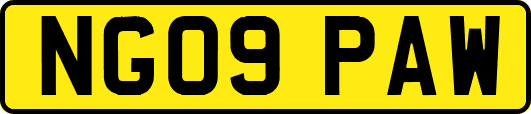 NG09PAW