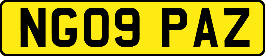 NG09PAZ