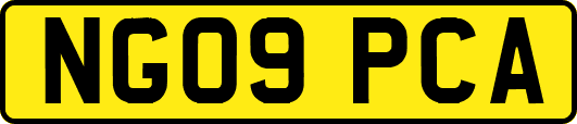 NG09PCA