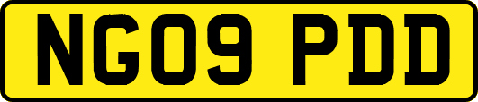NG09PDD