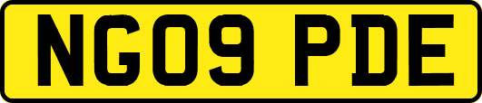 NG09PDE