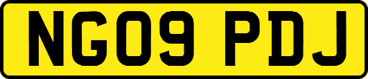 NG09PDJ