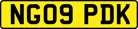 NG09PDK