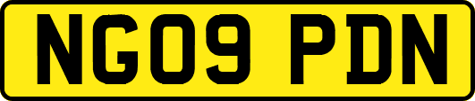 NG09PDN