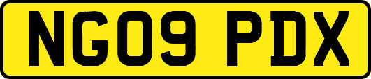 NG09PDX
