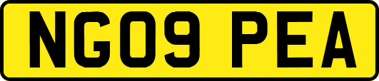 NG09PEA
