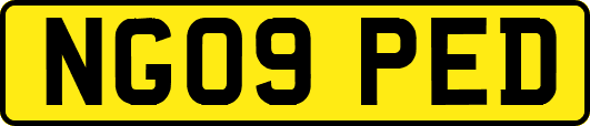 NG09PED