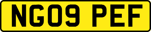 NG09PEF