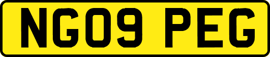 NG09PEG