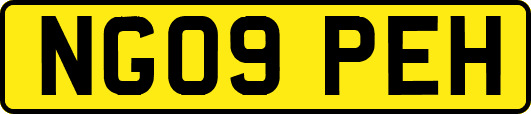 NG09PEH